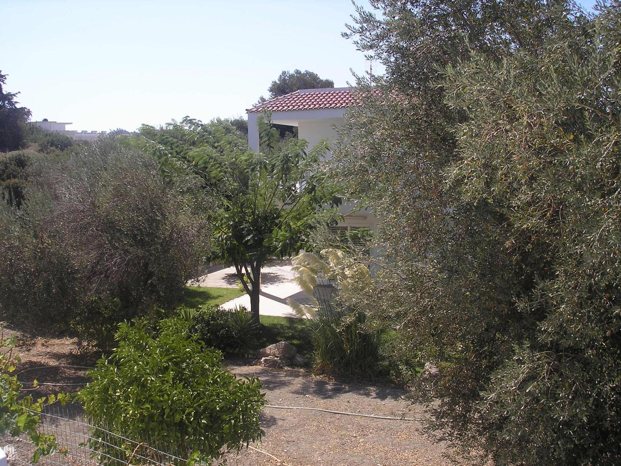 Nephele Apartments Faliraki Exterior photo