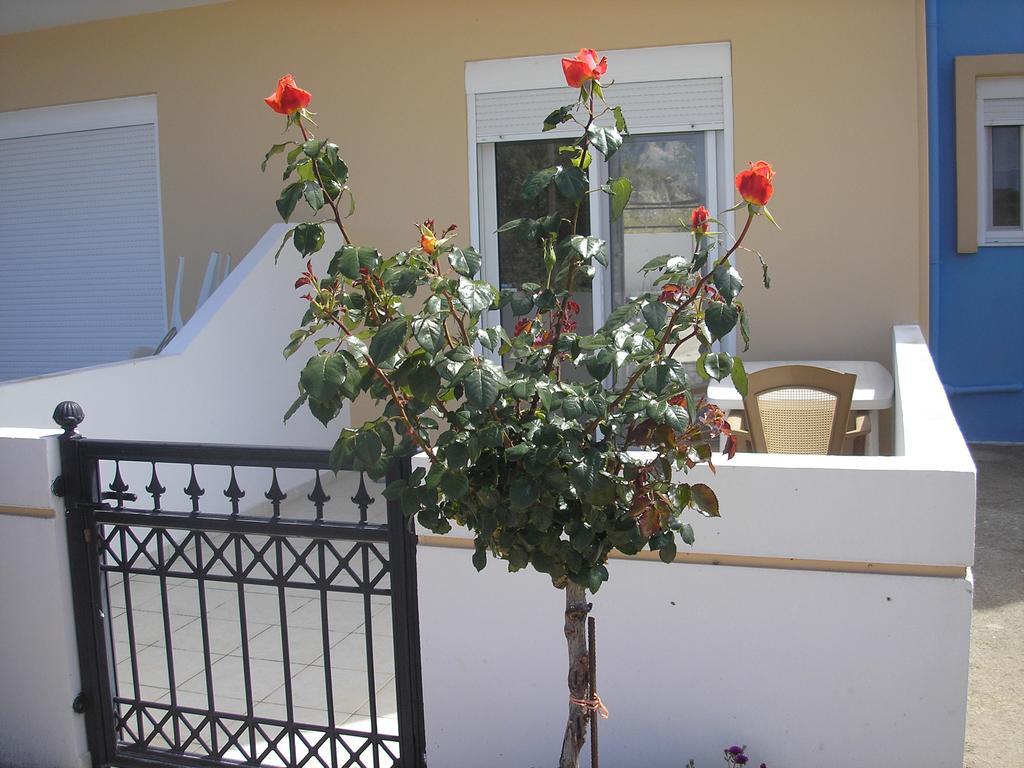 Nephele Apartments Faliraki Exterior photo